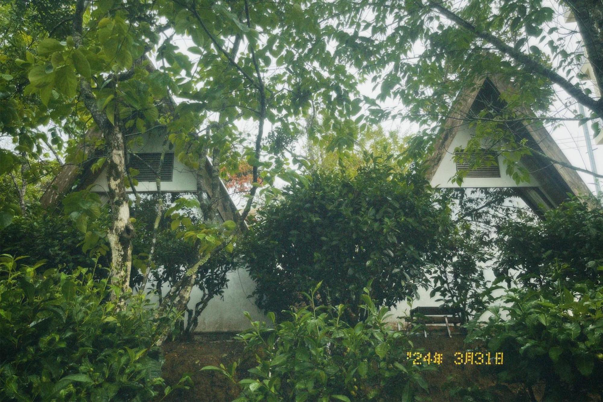 Apartament Nap Da Lat Zewnętrze zdjęcie