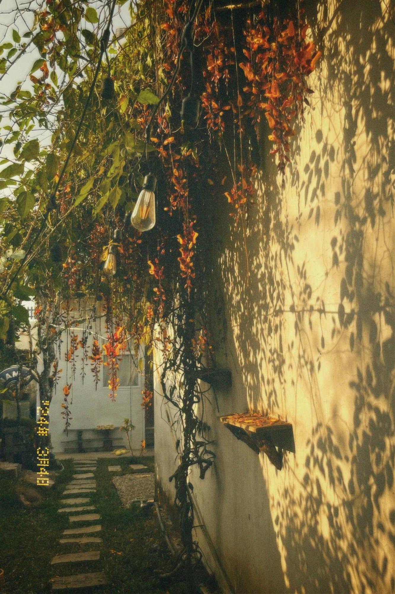 Apartament Nap Da Lat Zewnętrze zdjęcie
